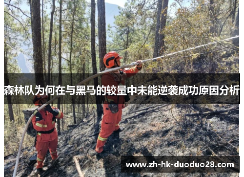森林队为何在与黑马的较量中未能逆袭成功原因分析