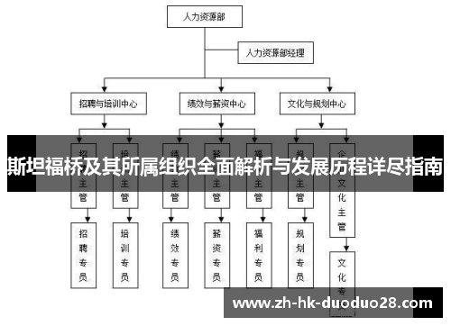 斯坦福桥及其所属组织全面解析与发展历程详尽指南