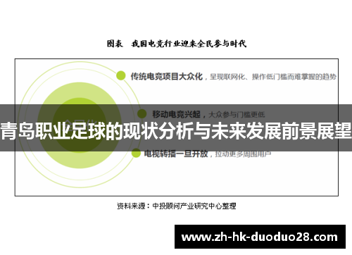 青岛职业足球的现状分析与未来发展前景展望