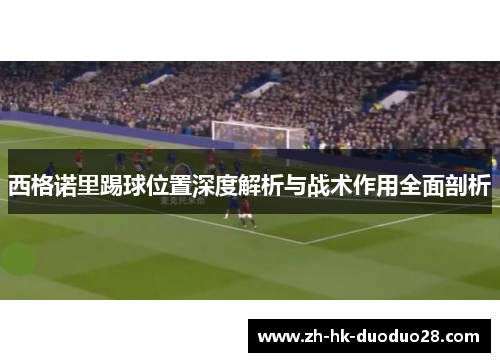 西格诺里踢球位置深度解析与战术作用全面剖析